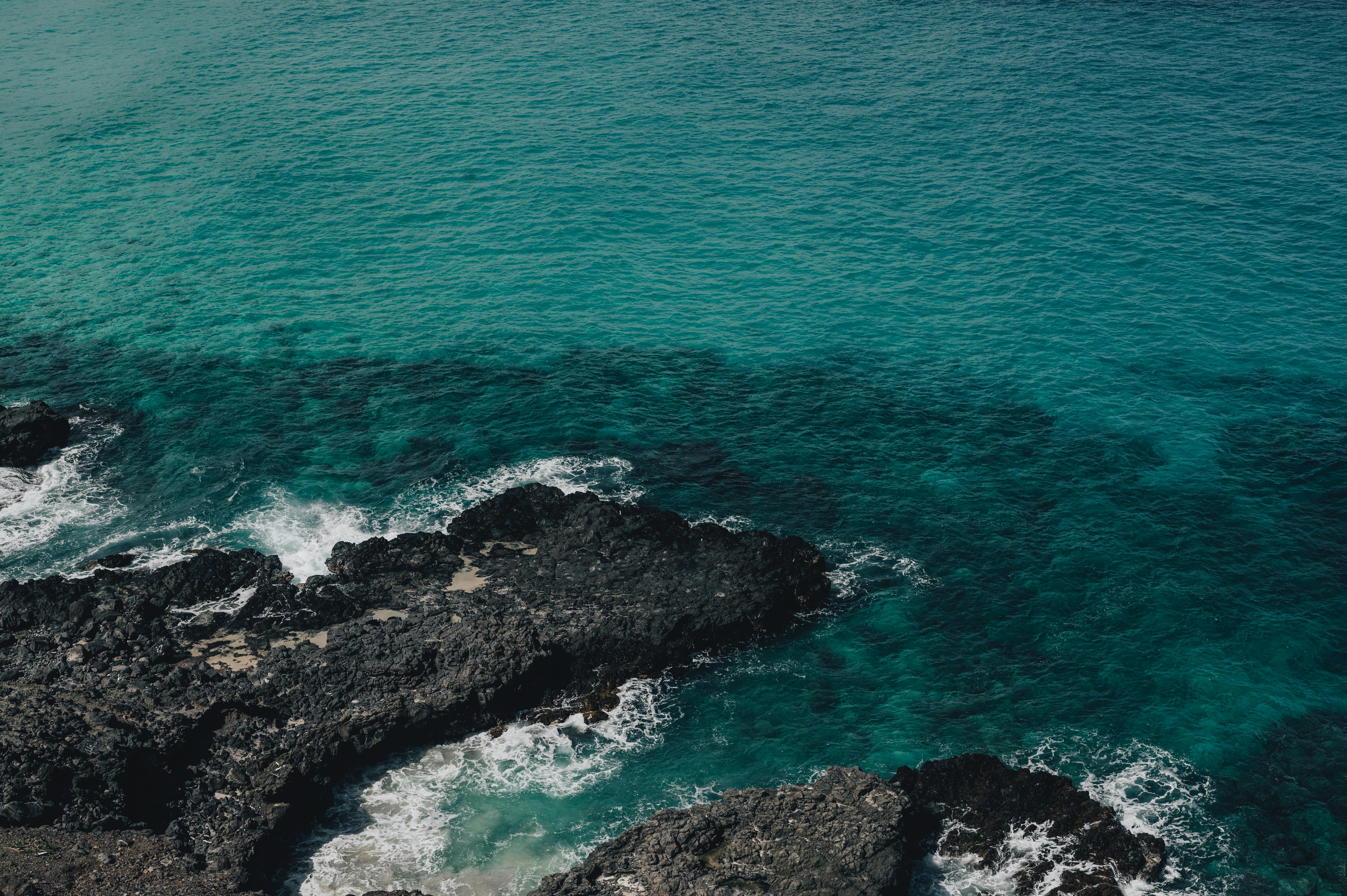 pexels-alfomedeiros-11805045